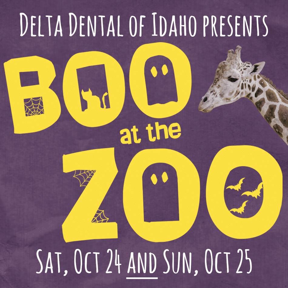 Boo at the Zoo presented by Delta Dental of Idaho